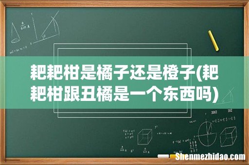 耙耙柑跟丑橘是一个东西吗 耙耙柑是橘子还是橙子