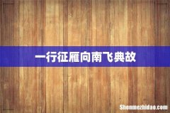 一行征雁向南飞典故