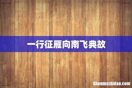 一行征雁向南飞典故