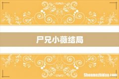 尸兄小薇结局