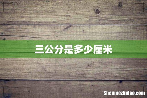 三公分是多少厘米