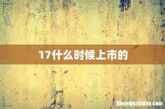 17什么时候上市的