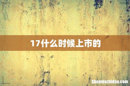 17什么时候上市的