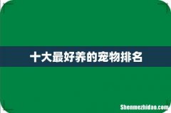 十大最好养的宠物排名