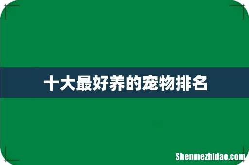 十大最好养的宠物排名