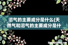 天然气和沼气的主要成分是什么？ 沼气的主要成分是什么