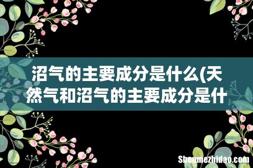 天然气和沼气的主要成分是什么? 沼气的主要成分是什么