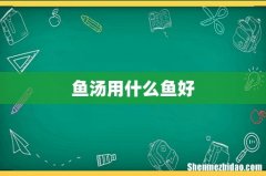 鱼汤用什么鱼好