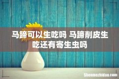 马蹄可以生吃吗 马蹄削皮生吃还有寄生虫吗