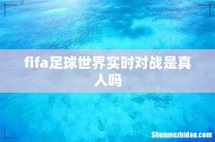 fifa足球世界实时对战是真人吗