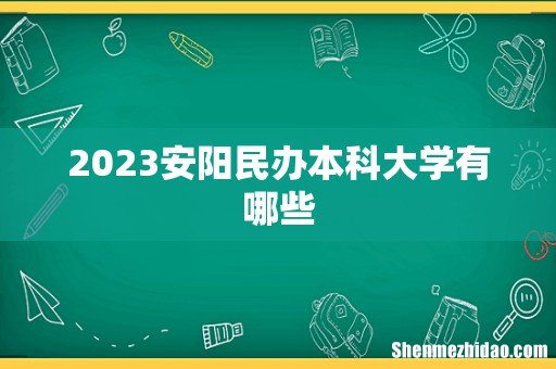 2023安阳民办本科大学有哪些