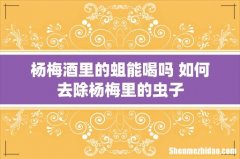 杨梅酒里的蛆能喝吗 如何去除杨梅里的虫子