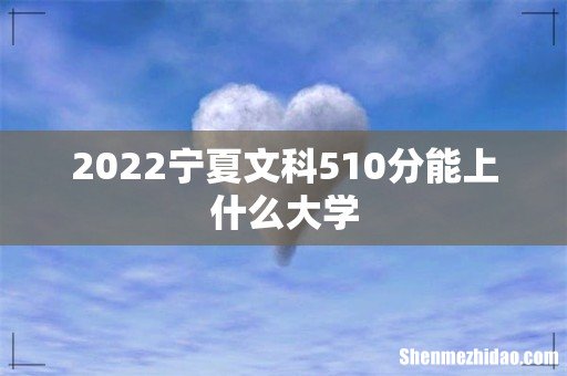 2022宁夏文科510分能上什么大学
