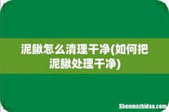 如何把泥鳅处理干净 泥鳅怎么清理干净