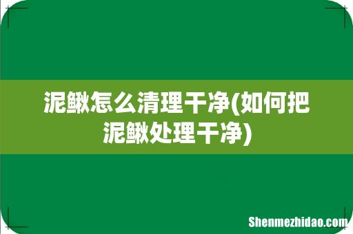 如何把泥鳅处理干净 泥鳅怎么清理干净