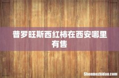 普罗旺斯西红柿在西安哪里有售