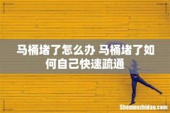马桶堵了怎么办 马桶堵了如何自己快速疏通