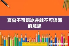 夏虫不可语冰井蛙不可语海的意思