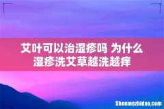 艾叶可以治湿疹吗 为什么湿疹洗艾草越洗越痒