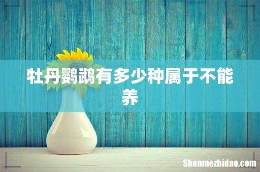 牡丹鹦鹉有多少种属于不能养