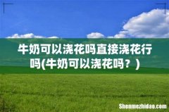 牛奶可以浇花吗？ 牛奶可以浇花吗直接浇花行吗