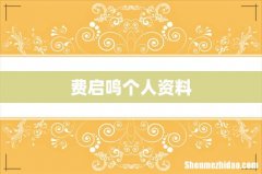 费启鸣个人资料