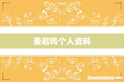 费启鸣个人资料