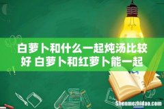 白萝卜和什么一起炖汤比较好 白萝卜和红萝卜能一起煲汤吗