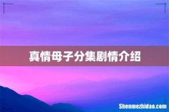 真情母子分集剧情介绍