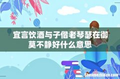 宜言饮酒与子偕老琴瑟在御莫不静好什么意思
