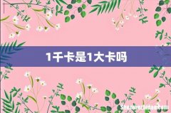 1千卡是1大卡吗