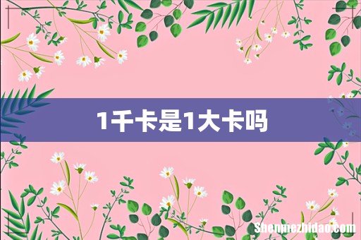 1千卡是1大卡吗