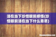 珍惜眼前活在当下什么意思 活在当下珍惜眼前感悟