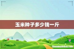 玉米种子多少钱一斤