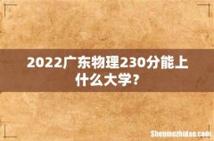 2022广东物理230分能上什么大学？
