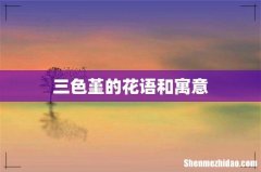 三色堇的花语和寓意