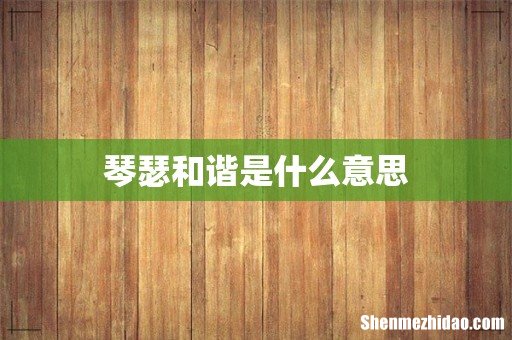 琴瑟和谐是什么意思