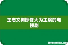 王志文梅婷佟大为主演的电视剧