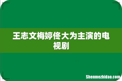 王志文梅婷佟大为主演的电视剧