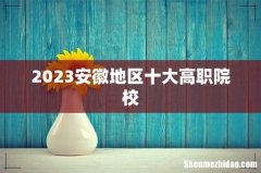 2023安徽地区十大高职院校