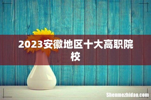 2023安徽地区十大高职院校