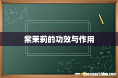 紫茉莉的功效与作用