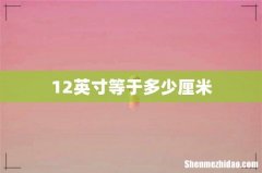 12英寸等于多少厘米