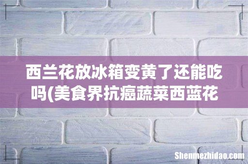 美食界抗癌蔬菜西蓝花,发黄了还能食用吗? 西兰花放冰箱变黄了还能吃吗