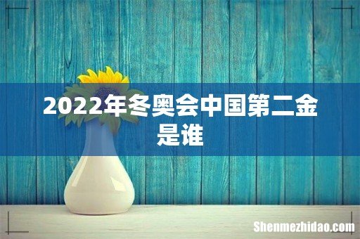 2022年冬奥会中国第二金是谁