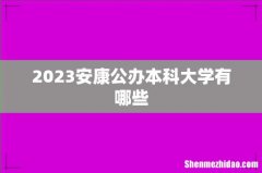 2023安康公办本科大学有哪些