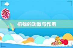 榆钱的功效与作用