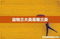动物三大类是哪三类