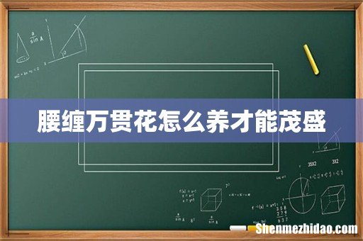 腰缠万贯花怎么养才能茂盛
