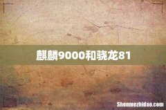 麒麟9000和骁龙81